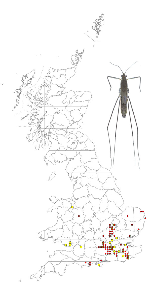 aquarius-paludum-map